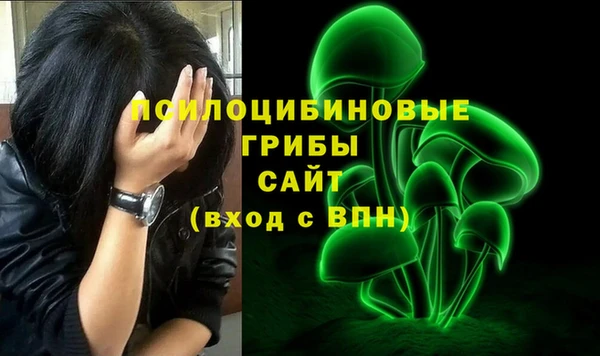 ешки Алзамай