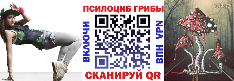Псилоцибиновые грибы MAGIC MUSHROOMS  купить наркотик  Бронницы 