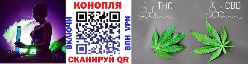МАРИХУАНА SATIVA & INDICA  купить наркоту  Бронницы 